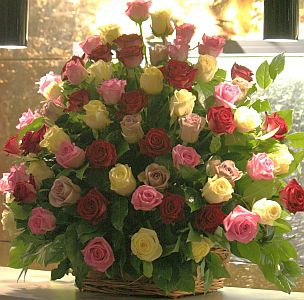 Valentines arrangement made of approx 100 pcs of different colour roses